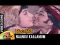 Naangu Kaalamum Unathaaga Video Song Dharmam Enge Tamil Movie Sivaji Jayalalithaa MSV