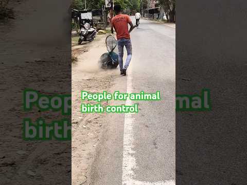 people for animal birth control #dog #animal #rescue #animalrescue #streetdog #viralshort #rescuedog