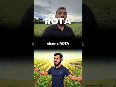 Decidi morar em Maracaju, a maior produtora de grãos de Mato Grosso do Sul. 🌾