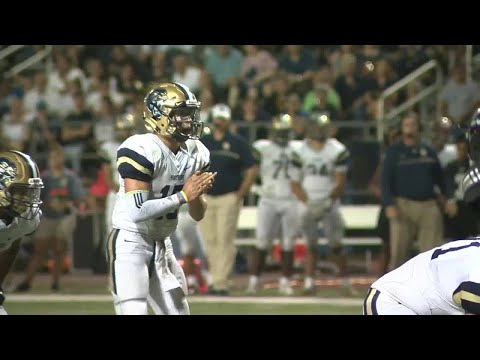 Steele vs. O’Connor