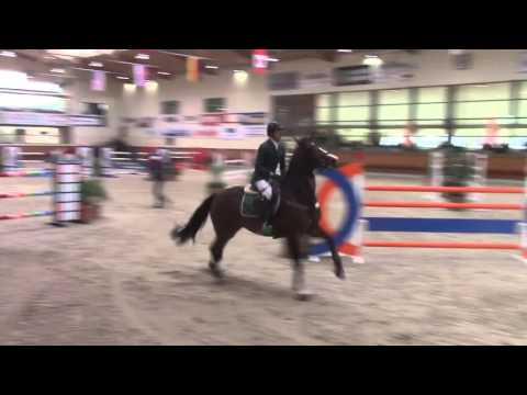 Landado - 1m40 Chevenez