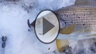 Приманки на хариуса и ленка