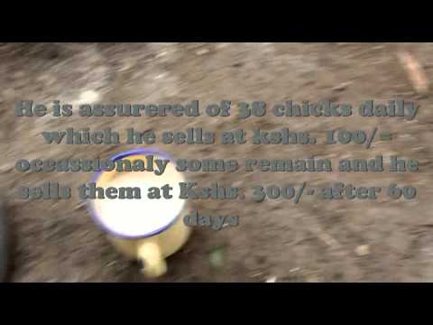 kinyua Chaka, Kuku Kienyeji, value Addition