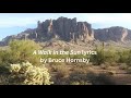 A Walk In the Sun lyrics video