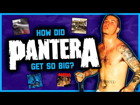 HOW DID PANTERA GET SO BIG?!