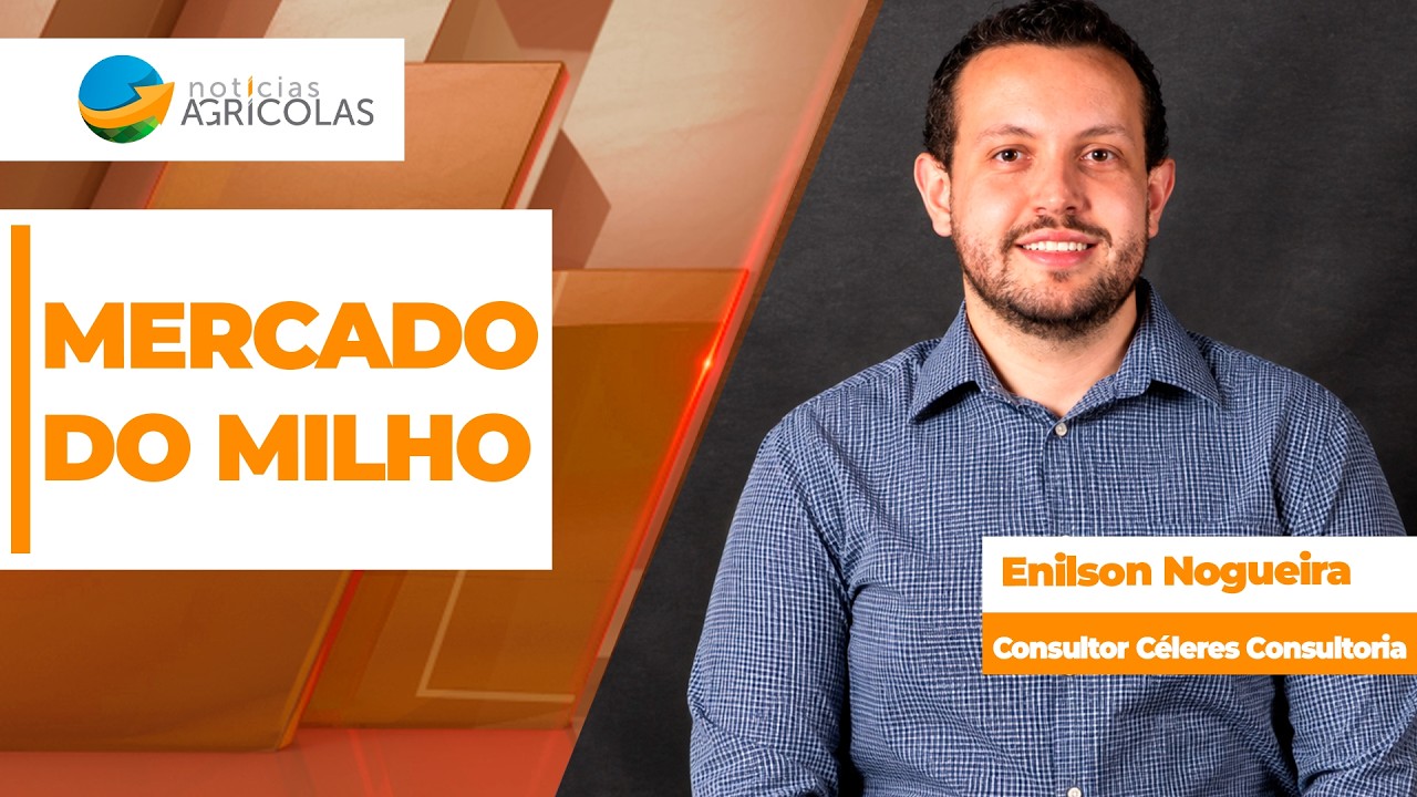 Milho tem 2º semestre de construção de preços no Brasil e produtor pode ter boa janela de...