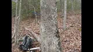 preview picture of video 'Old-Growth Oak Forest on Holston Mountain, TN'