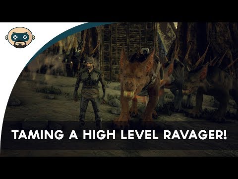 Taming a high level Ravager!