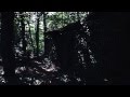 Jaded Heart - Schizophrenic (Official Videoclip ...