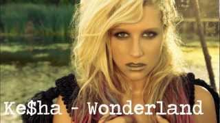 Wonderland Music Video