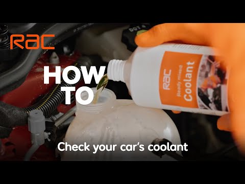 How to check your car's coolant and antifreeze – expert advice from the RAC
