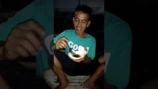 Download lagu lagi rujak kelapa muda mp3 Download lagu lagi rujak kelapa muda mp3