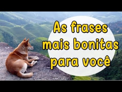 Vídeo: Mensagens bonitas: ideias, exemplos e dúvidas