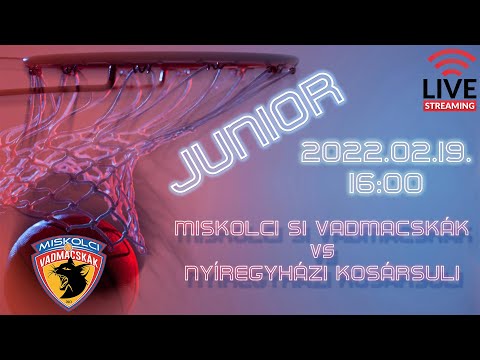 Miskolci SI Vadmacskák vs Nyíregyházi Kosársuli