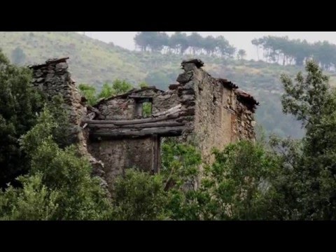 Ass. Acri Antica Pandosia