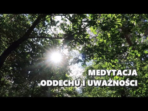 Meditation for Beginners - Breathing and Mindfulness