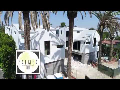 Palmea at North Hollywood 6-20-2018