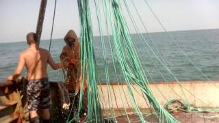 Как ловят кильку в каспийском море