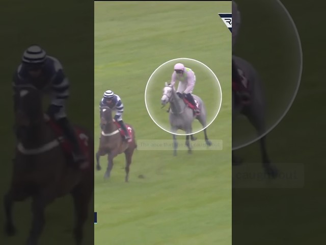 Thumbnail for Post ID: rboGf8s1KCE