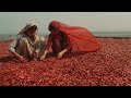 SAKHI Raazi Hussain Ahsan Pervaiz Mehdi Official Music Video