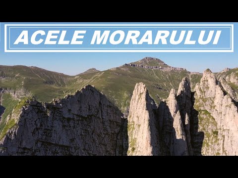 Acele Morarului sau cand Visele devin realitate