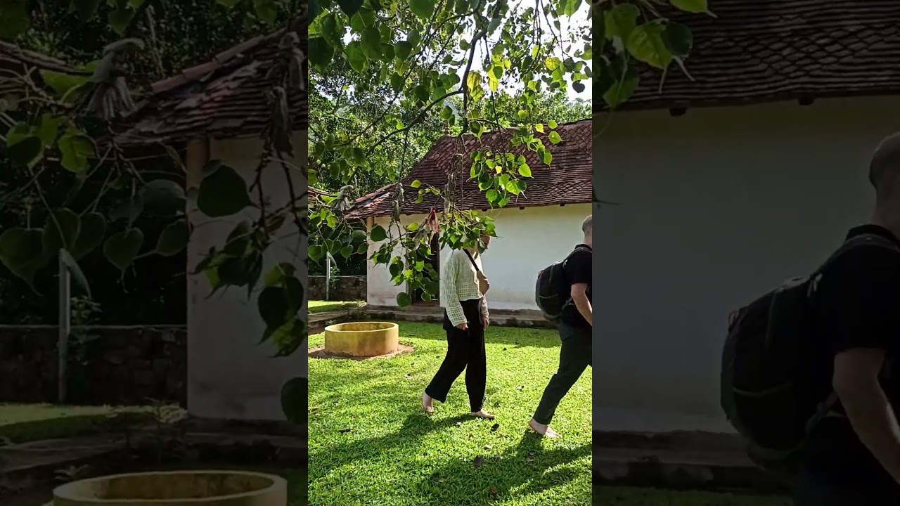 YouTube Short thumbnail