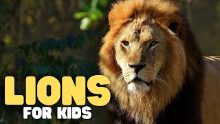 Lions for Kids | Learn all about the king of cats!