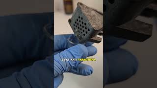 Download lagu This scientist shows that this spice can kill parasites in the body 🦠🧄 #uniquefacts #shorts mp3