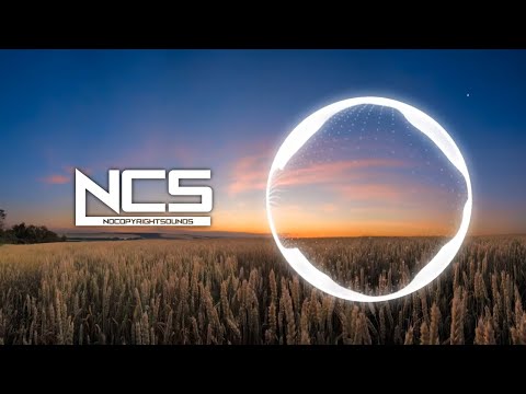 Halvorsen - Wouldn't Change It [NCS Release] Video