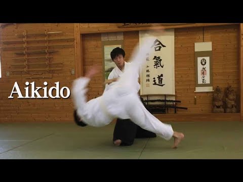 Dynamic and Supple Aikido 02 - Shirakawa Ryuji sensei