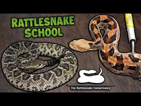 Touring The Rattlesnake Conservancy!