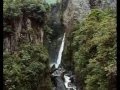Documentary Shamans Of The Amazon 2002 Dmt Ayahuasca Mckenna