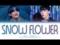 BTS V Snow Flower Lyrics Feat Peakboy 방탄소년단 뷔 Snow Flower 가사 Color Coded Lyrics