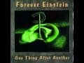 Forever Einstein - Big Sky Mind