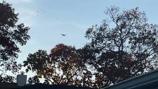 Piper PA-24-180 Comanche (N7221P) landing at Brookhaven Calabro Airport over my house