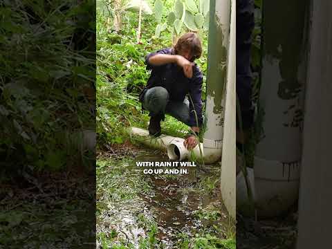 Permaculture Design: Moving Rainwater Uphill?