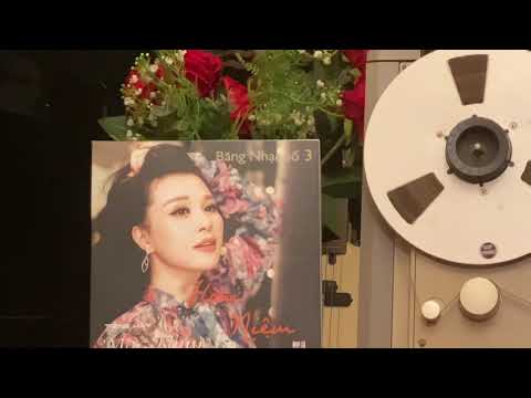 Hoàng hôn trên sông - Mạc Thủy