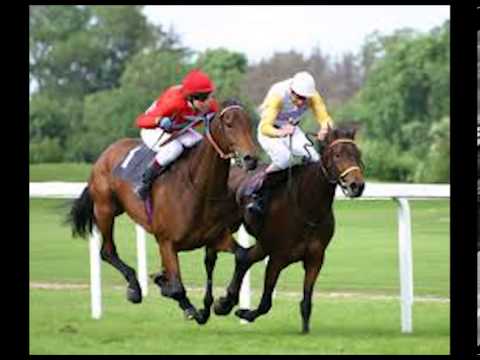 paddy mcgintys goat val doonican