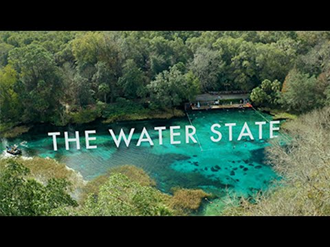 The Water State - A Project Paradise Film