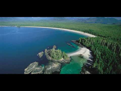 "Land's End" (Tim Heintz, Dan Higgins, Grant Geissman, Charlie Bisharrat).