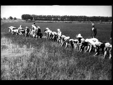 Giovanna Daffini - L'amarezza delle mondine.wmv