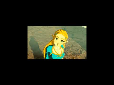 ukvsz x seenz - zelda