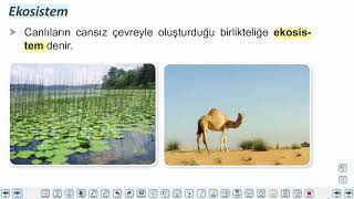 Eğitim Vadisi 10.Sınıf Biyoloji 13.Föy Ekolojik Kavramlar Konu Anlatım Videoları