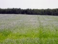 Дзе мой Край 