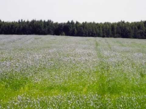 Дзе мой Край