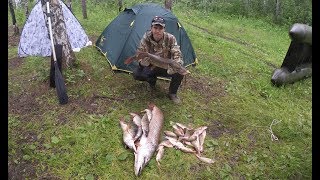 Рыбалка на реке чулым новосибирской области