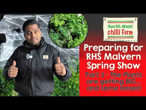 RHS Malvern Update - Part 6!