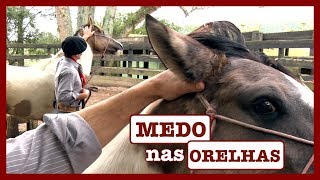 Miniatura do vídeo