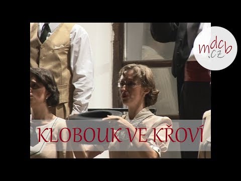 J+V+W | Klobouk ve křoví