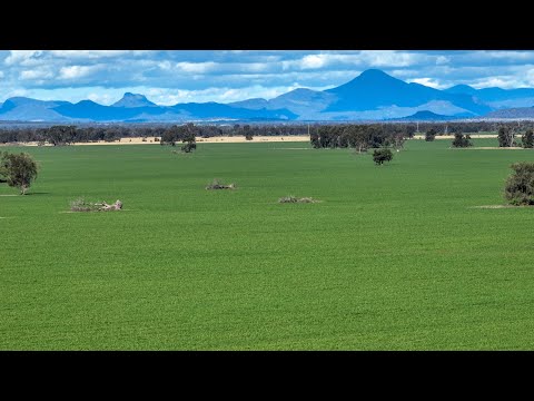 "FOREST VALE", Gurley, NSW 2398, 0 Schlafzimmer, 0 Badezimmer, Lifestyle Property